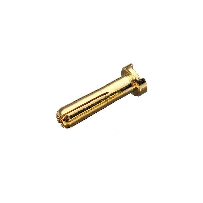 Aranyozott laposfejű, hasított 4mm csati Apa