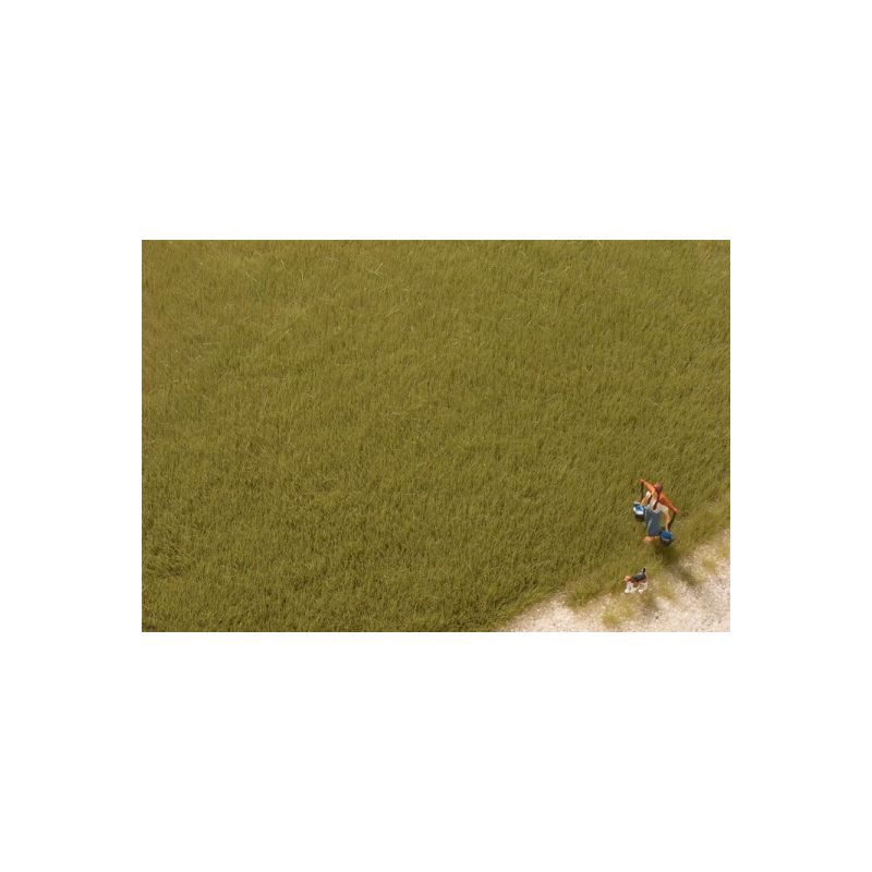 Auhagen 75614 Fű szóróanyag, sztatikus, 4,5 mm, olajzöld, 50 g