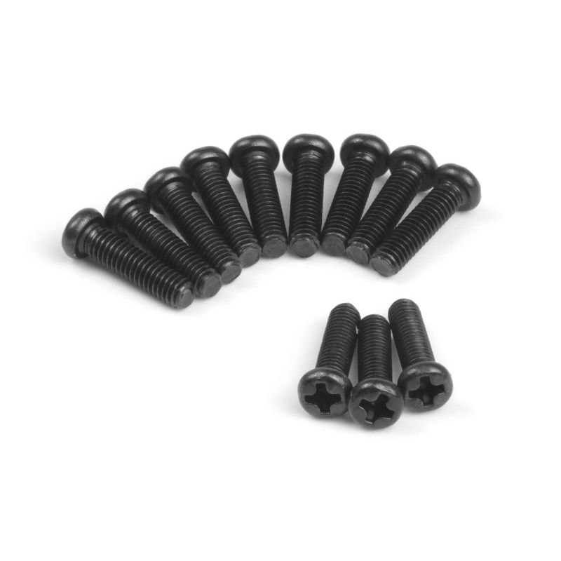 BLACKZON 548017 Pan Head Tapping Screws BBHO2.5*10mm (12pcs)