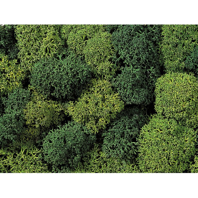 Noch 08610 Izlandi moha, világos- és sötétzöld, 35 g