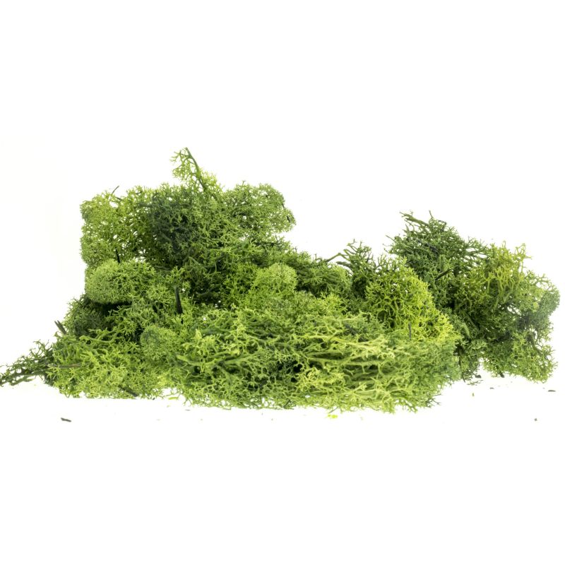 Izlandi moszat, sötétzöld, 80 g