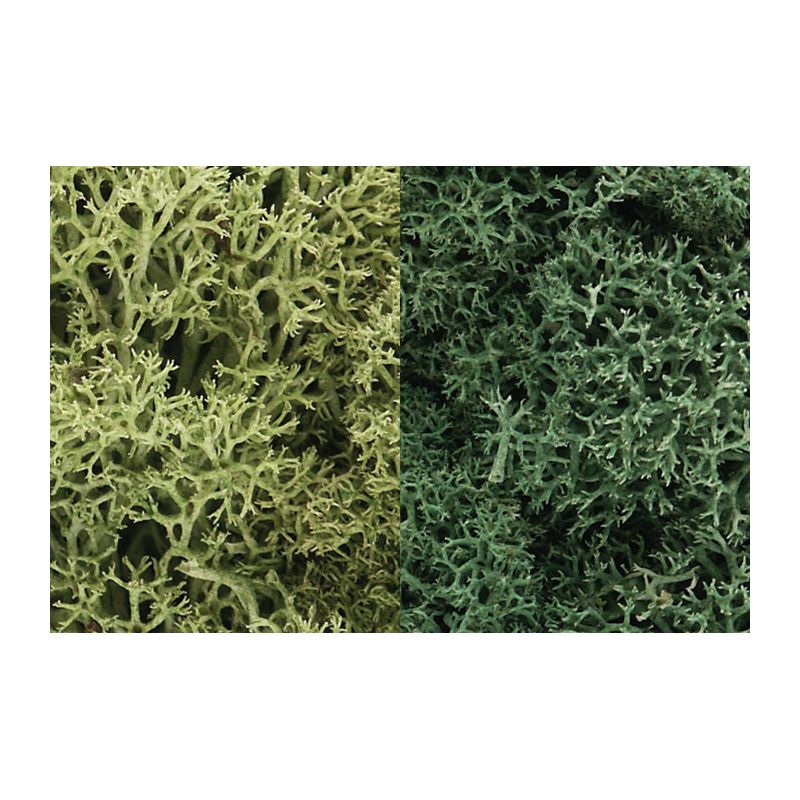 Woodlands L167 Izlandi moszat, világoszöld