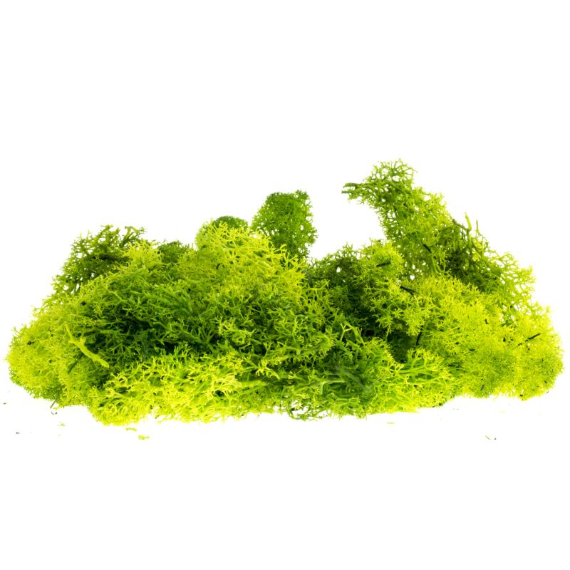 Izlandi moszat, világoszöld, 80 g