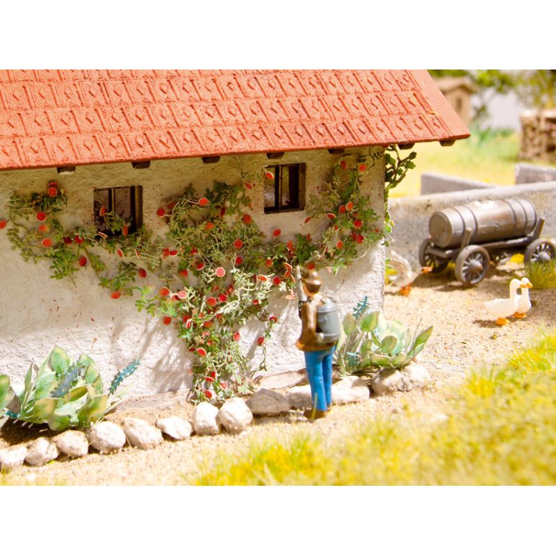 Noch 14118 Lézervágott futórózsa, 6 db