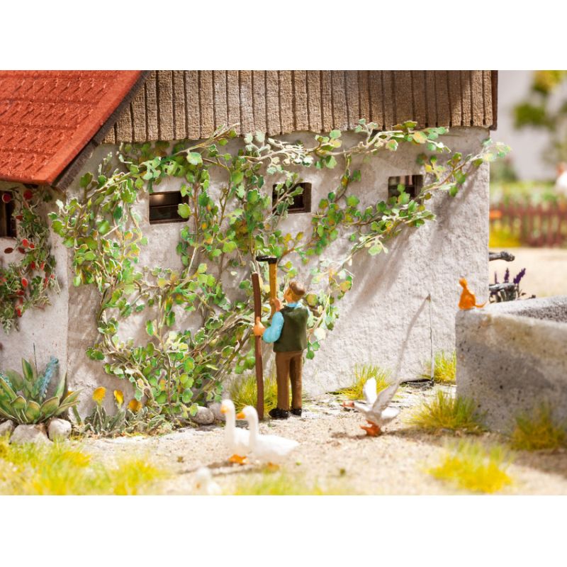 Noch 14132 Lézervágott vadszőlő, 12 db