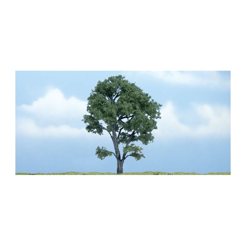 Woodlands TR1610 Jávorfa, 11,4 cm