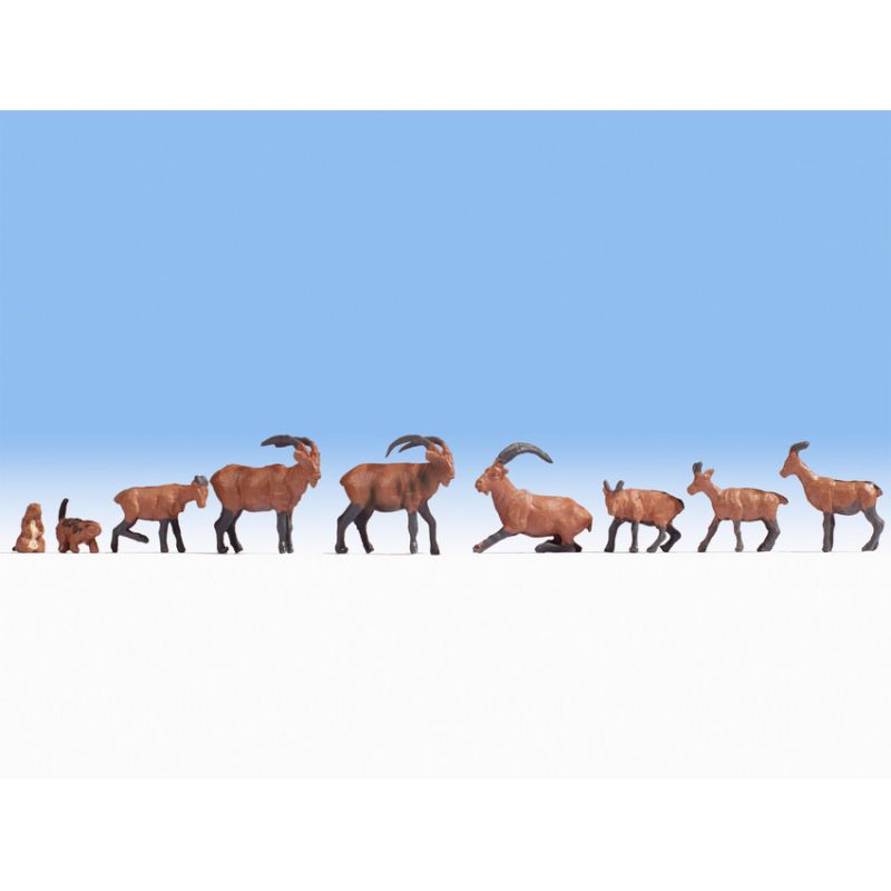 Noch 15742 Alpesi hegyi állatok kőszáli kecske, mormota