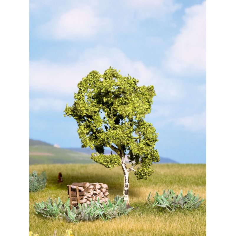 Noch 21640 Nyírfa, 11,5 cm