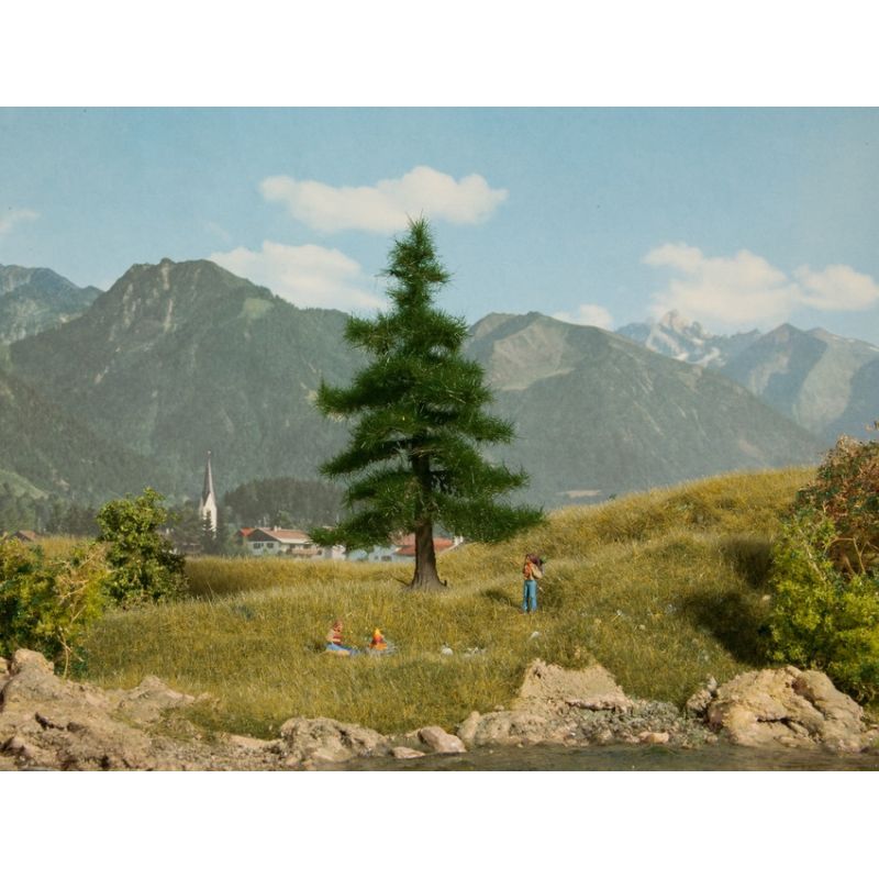 NOCH 21810 Nordmanntanne