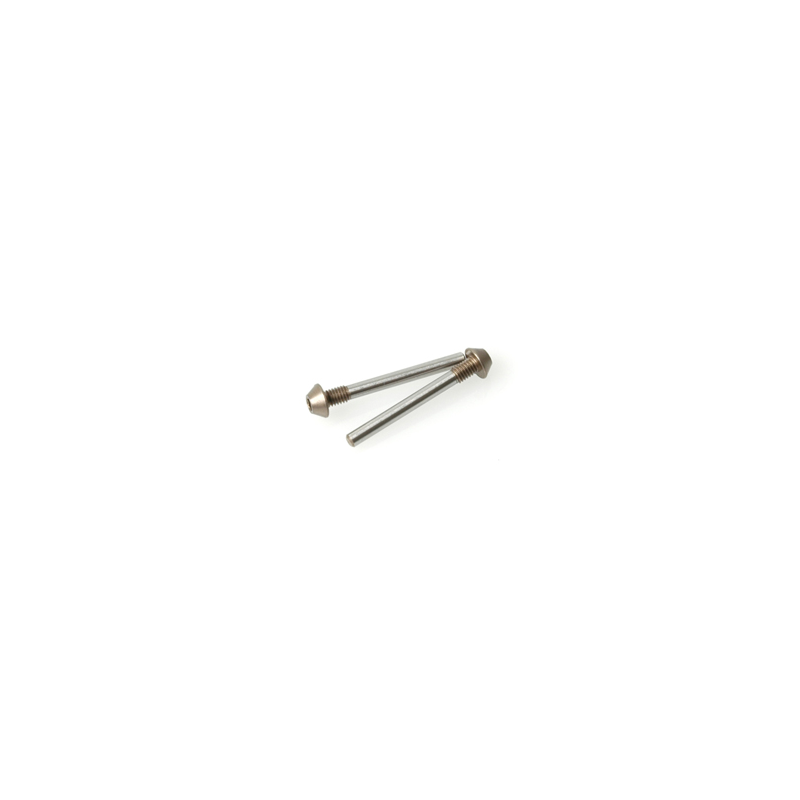 Schumacher U3715 Pivot Pin Screw Type 25mm  pr