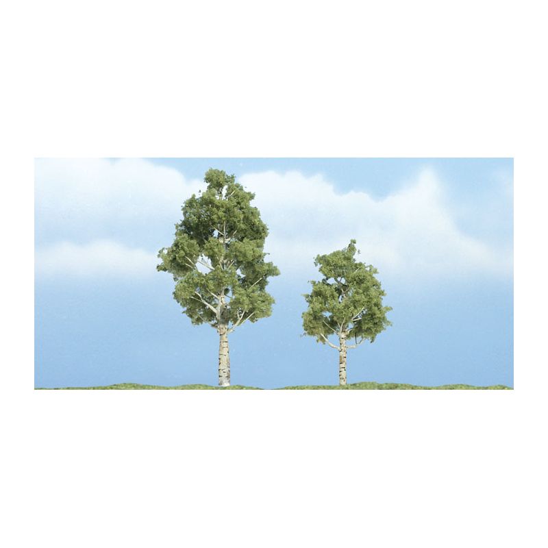 Woodland TR1612 Nyárfa, 5,5 és 7 cm, 2 db