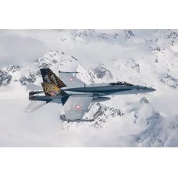 Italeri 1394 F/A-18 Hornet Tiger Meet 2016
